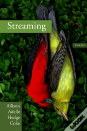Capa do artigo Streaming