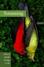 Streaming - Preview