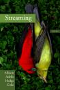 Streaming - Preview