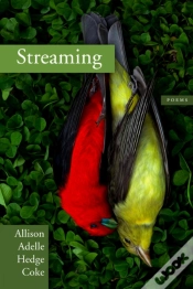 Capa do artigo Streaming