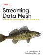 Streaming Data Mesh - Preview