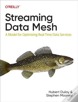Capa do artigo Streaming Data Mesh