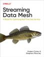 Streaming Data Mesh - Preview