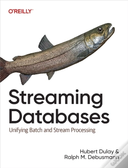 Capa do artigo Streaming Databases
