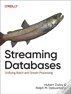 Capa do artigo Streaming Databases
