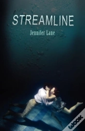 Capa do artigo Streamline