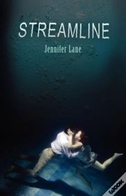 Capa do artigo Streamline
