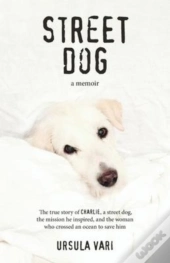 Street Dog
