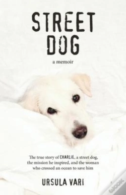 Capa do artigo Street Dog