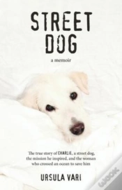 Capa do artigo Street Dog
