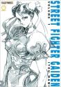 Street Fighter Gaiden Volume 1 - Preview