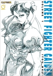Capa do artigo Street Fighter Gaiden Volume 1