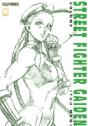 Street Fighter Gaiden Volume 2 - Preview