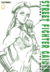 Capa do artigo Street Fighter Gaiden Volume 2