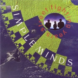 Capa do artigo Street Fighting Years - CD