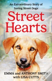 Capa do artigo Street Hearts