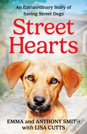 Capa do artigo Street Hearts
