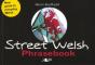 Street Welsh - Phrasebook - Preview
