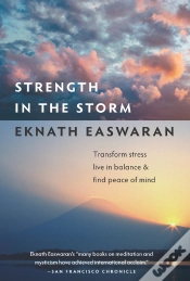 Capa do artigo Strength In The Storm
