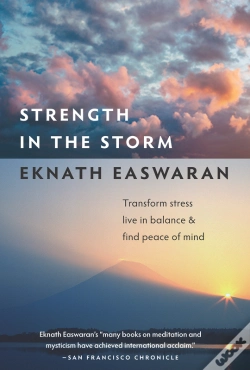 Capa do artigo Strength In The Storm