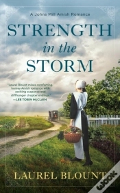 Capa do artigo Strength In The Storm