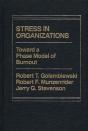 Stress In Organizations - Preview