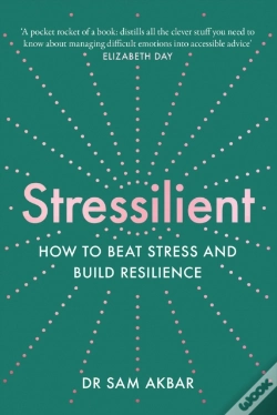 Capa do artigo Stressilient