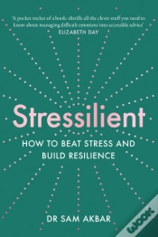 Capa do artigo Stressilient