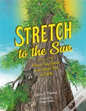 Stretch To The Sun