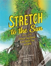 Capa do artigo Stretch To The Sun