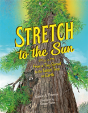 Stretch To The Sun - Preview