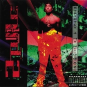 Capa do artigo Strictly 4 My N.I.G.G.A.Z. - Vinil