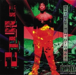 Capa do artigo Strictly 4 My N.I.G.G.A.Z. - Vinil