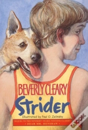 Capa do artigo Strider