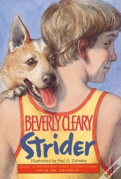 Capa do artigo Strider