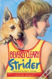 Capa do artigo Strider