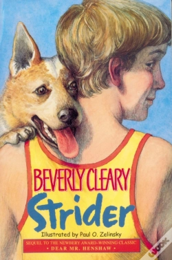 Capa do artigo Strider