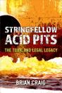 Stringfellow Acid Pits - Preview