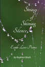 Strings Of Shining Silence - Preview