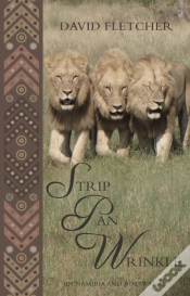 Capa do artigo Strip Pan Wrinkle
