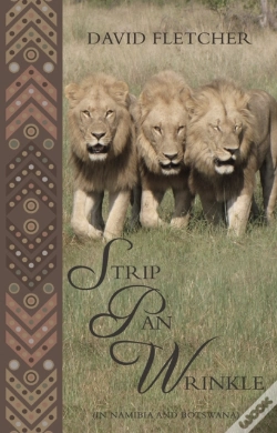 Capa do artigo Strip Pan Wrinkle