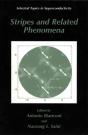 Stripes And Related Phenomena - Preview