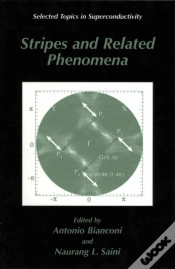 Capa do artigo Stripes And Related Phenomena