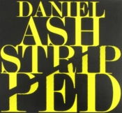 Capa do artigo Stripped - CD