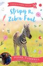 Stripy The Zebra Foal - Preview