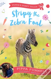 Stripy The Zebra Foal