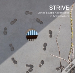 Capa do artigo Strive
