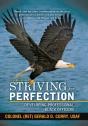 Striving For Perfection - Preview
