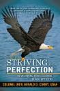 Striving For Perfection - Preview