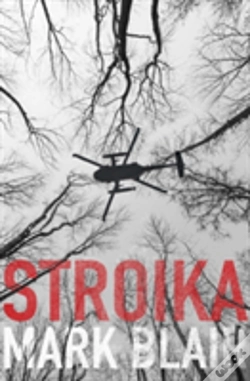 Capa do artigo Stroika